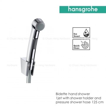 Hansgrohe 32129000 Bidette Hand Shower