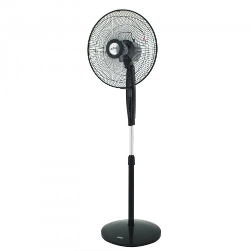 Standing Fans